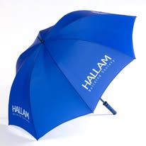 Ready Umbrella — Blue